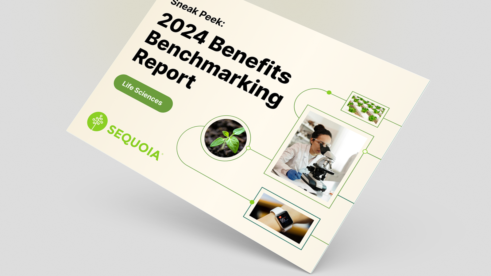 2024 Benefits Benchmarking Report Sneak Peek, Life Sciences Edition